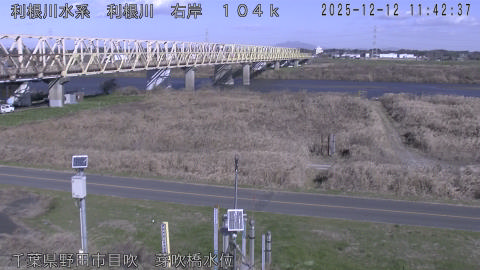 tonme2025121212_image