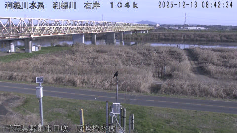 tonme2025121309_image