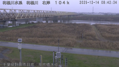 tonme2025121409_image