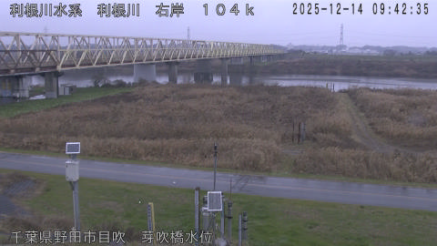 tonme2025121410_image