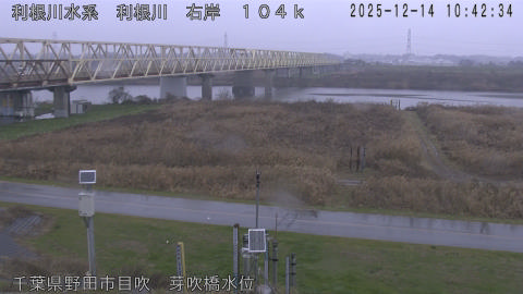 tonme2025121411_image