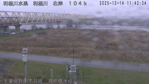 tonme2025121412_image