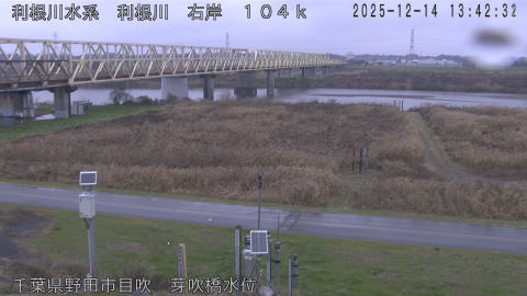 tonme2025121414_image