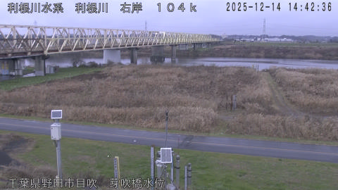 tonme2025121415_image