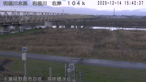 tonme2025121416_image