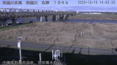 tonme2025121515_image