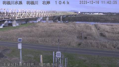 tonme2025121612_image