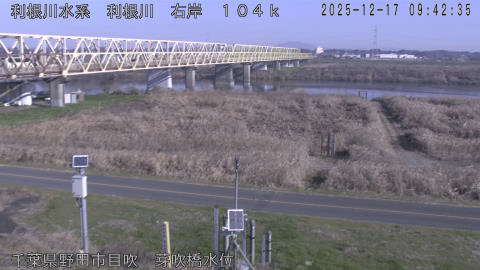 tonme2025121710_image