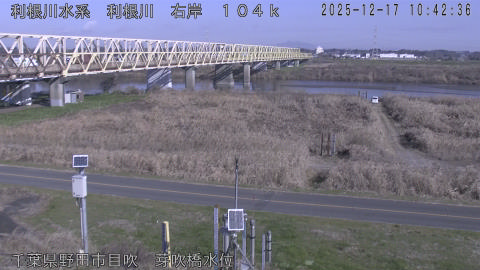 tonme2025121711_image