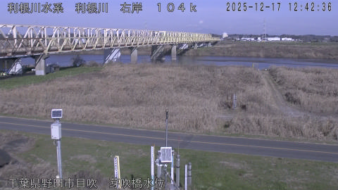 tonme2025121713_image