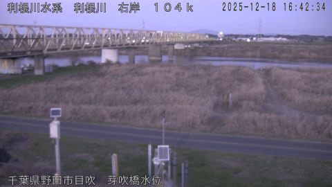 tonme2025121817_image