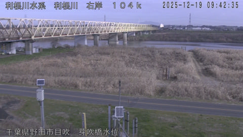 tonme2025121910_image