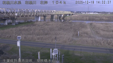 tonme2025121915_image