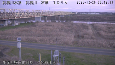 tonme2025122007_image