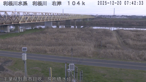 tonme2025122008_image