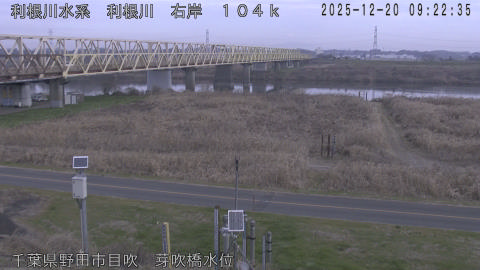 tonme2025122010_image