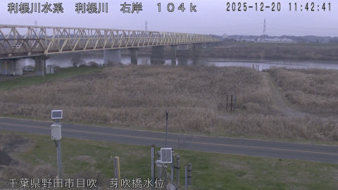 tonme2025122012_image