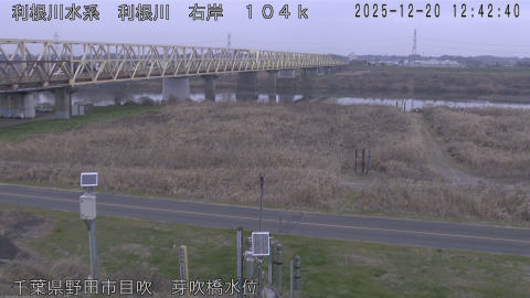 tonme2025122013_image