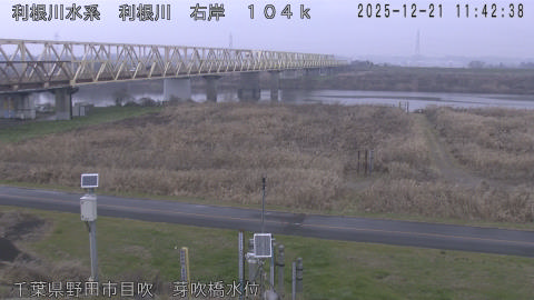 tonme2025122112_image