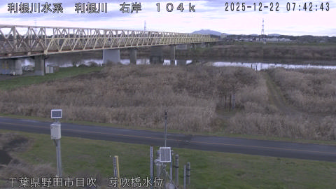 tonme2025122208_image