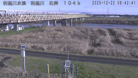 tonme2025122209_image