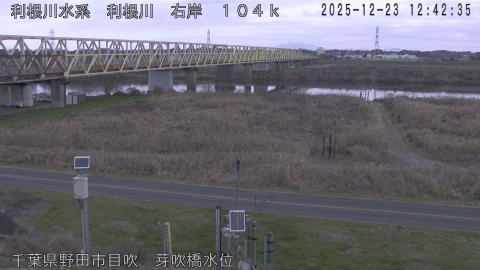 tonme2025122313_image