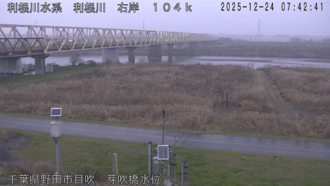 tonme2025122408_image