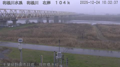 tonme2025122411_image