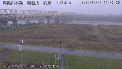 tonme2025122412_image