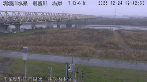 tonme2025122413_image