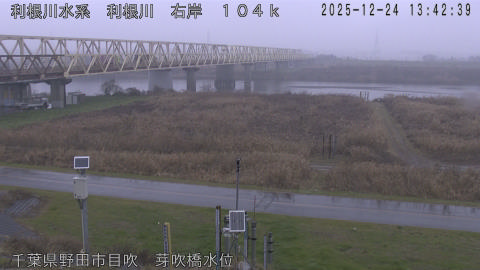 tonme2025122414_image