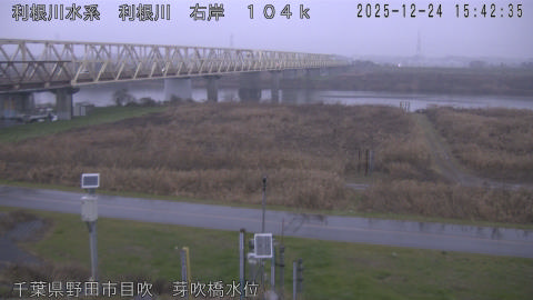 tonme2025122416_image