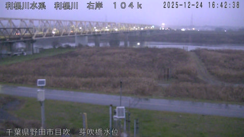 tonme2025122417_image