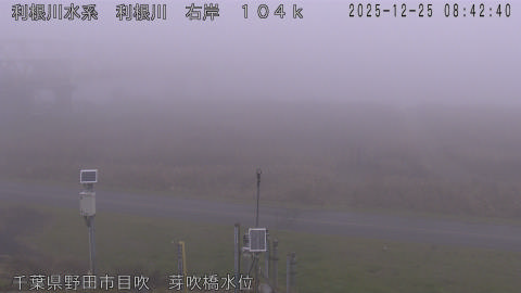 tonme2025122509_image