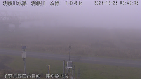 tonme2025122510_image