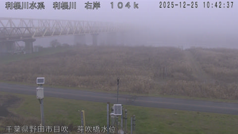 tonme2025122511_image