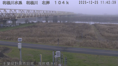 tonme2025122512_image