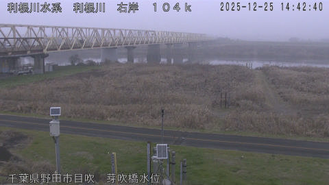 tonme2025122515_image