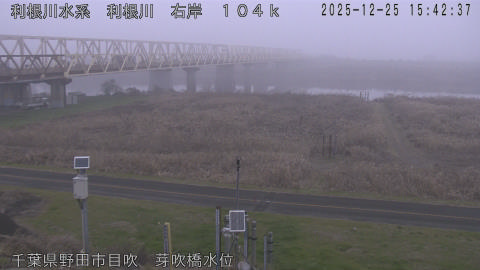 tonme2025122516_image