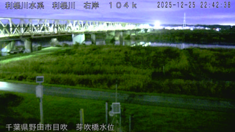 tonme2025122523_image