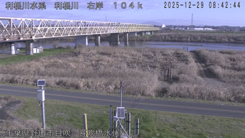 tonme2025122909_image