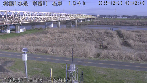 tonme2025122910_image