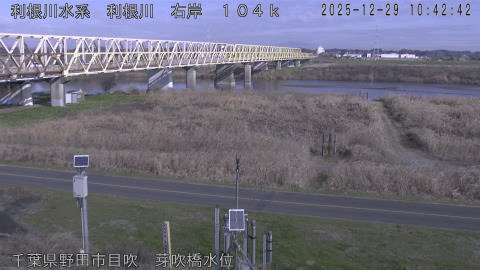 tonme2025122911_image