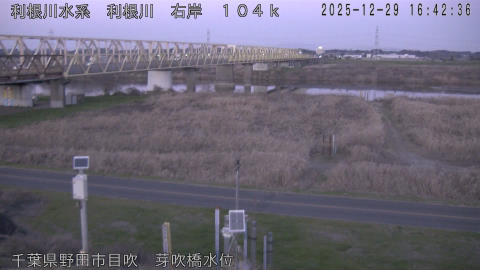 tonme2025122917_image