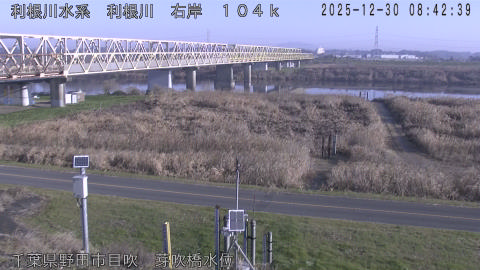 tonme2025123009_image