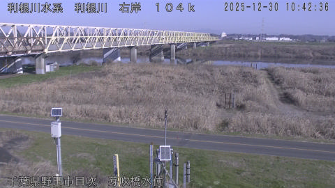 tonme2025123011_image