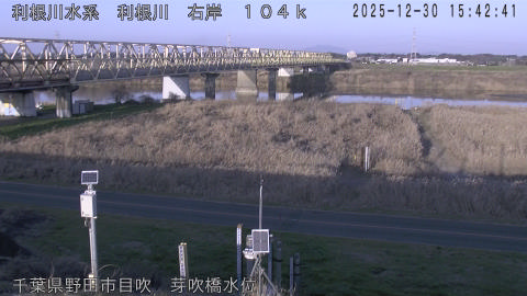 tonme2025123016_image