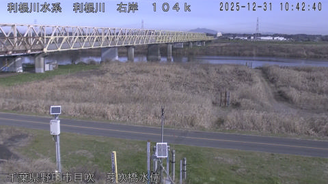 tonme2025123111_image