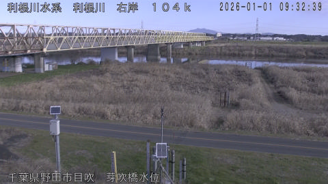 tonme2026010110_image