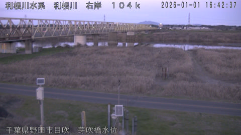 tonme2026010117_image